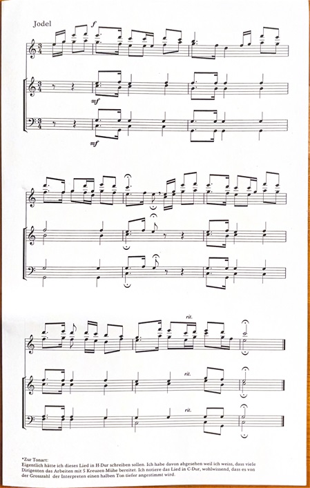 Notenblatt mit einem Jodelstück, das mehrere musikalische Noten und Anweisungen enthält.
